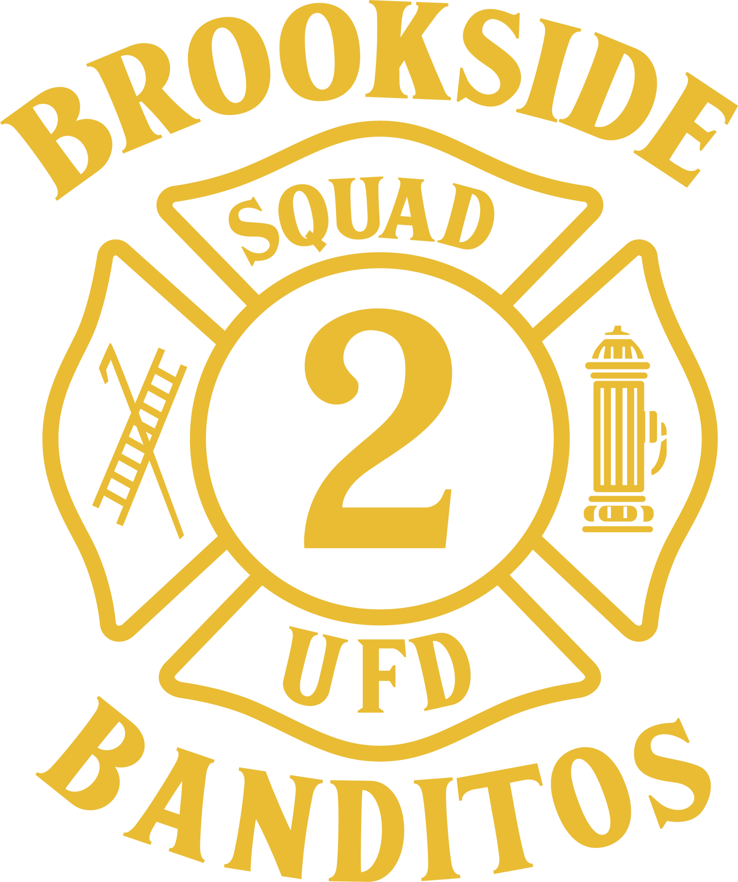 UNIONDALE FD - BROOKSIDE ENGINE Co No 2 - BANDITOS