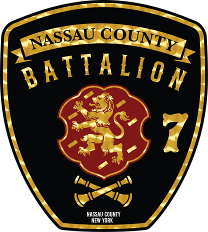 UNIONDALE FD - BROOKSIDE ENGINE Co No 2 - GOLD LEAF