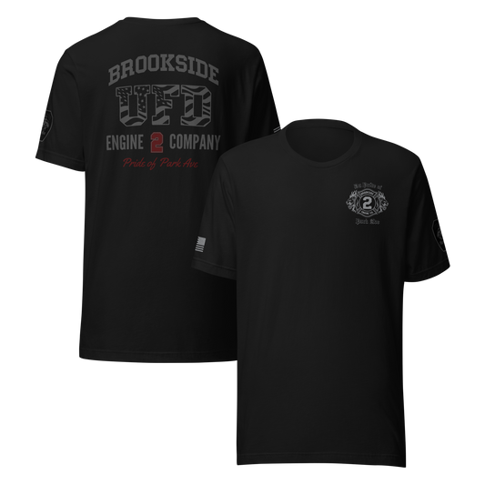 UNIONDALE FD - BROOKSIDE ENGINE Co No 2 - SUBDUED
